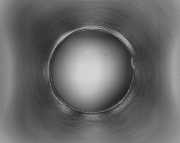 X0000115831004200911201501