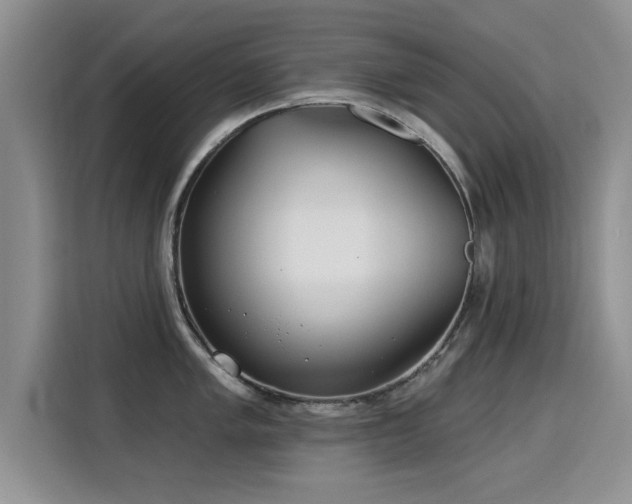 X0000115831005200911201501