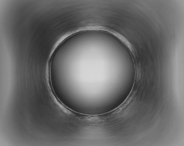 X0000115831006200911201501