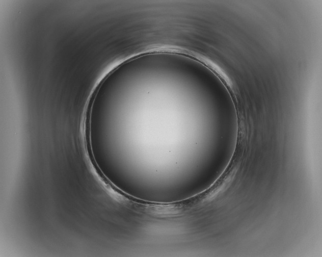 X0000115831007200911201501