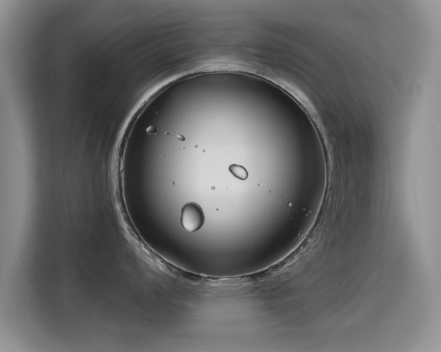 X0000115831008200911201501