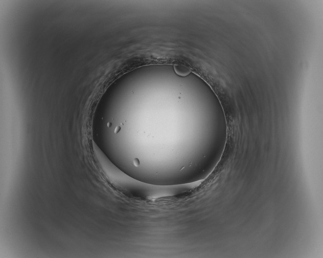 X0000115831009200911201501