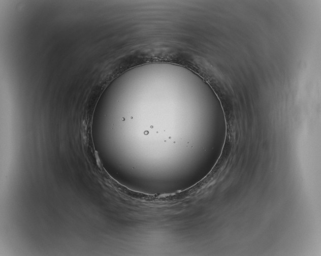 X0000115831010200911201501