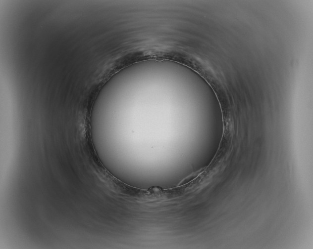 X0000115831012200911201501