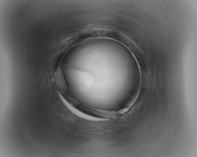 X0000115831013200911201501