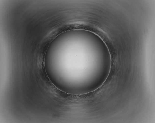 X0000115831014200911201501