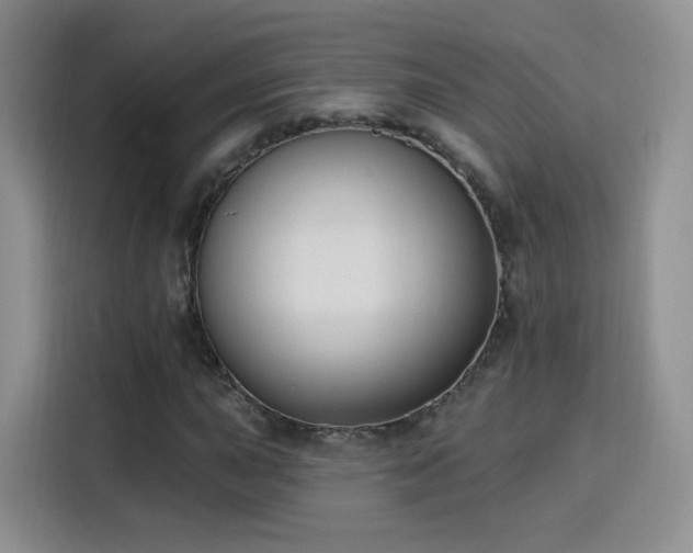 X0000115831015200911201501