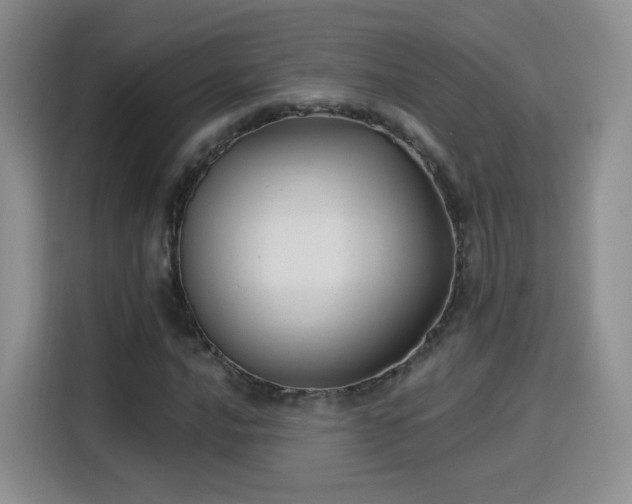 X0000115831016200911201501