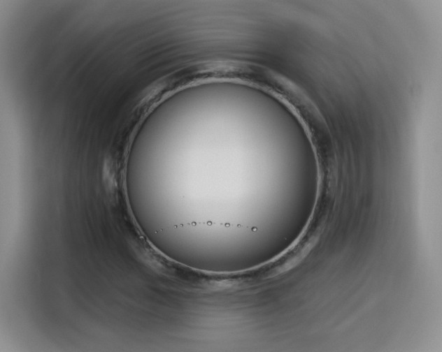 X0000115831017200911201501