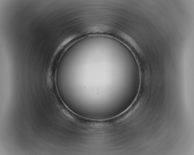 X0000115831018200911201501