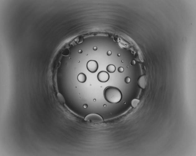 X0000115831019200911201501