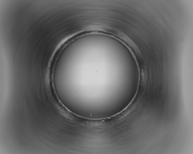 X0000115831020200911201501