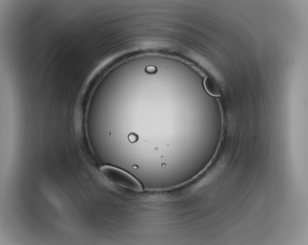 X0000115831021200911201501