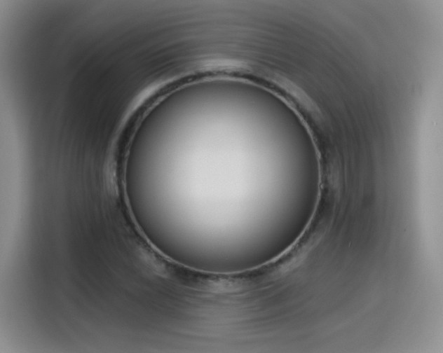 X0000115831022200911201501