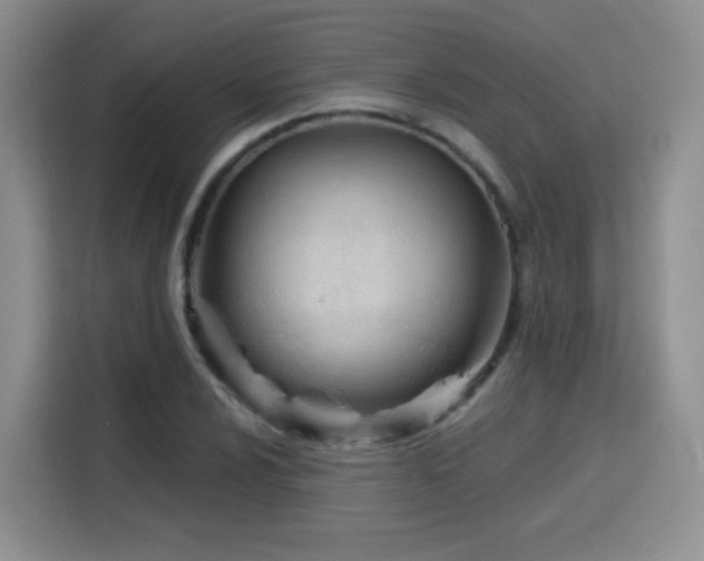 X0000115831024200911201501