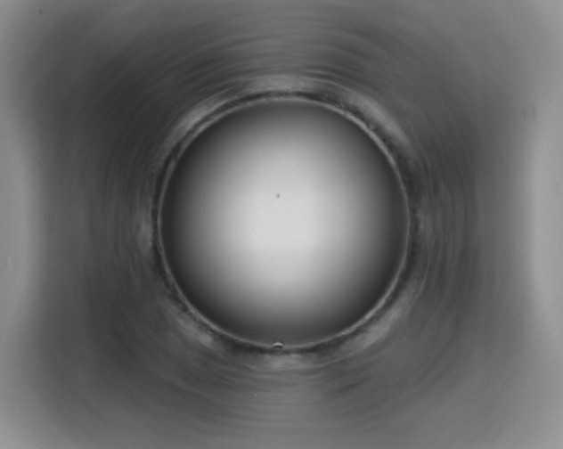 X0000115831025200911201501