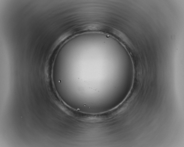 X0000115831026200911201501