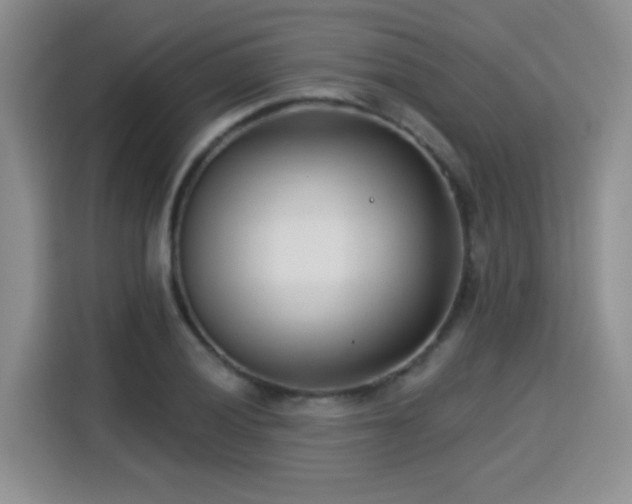 X0000115831028200911201501