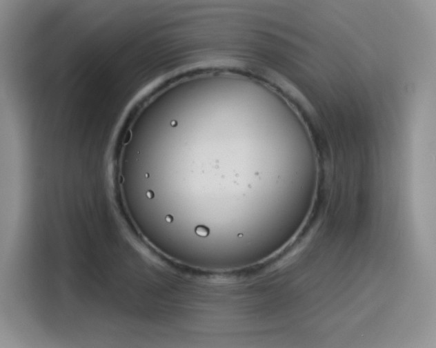 X0000115831029200911201501