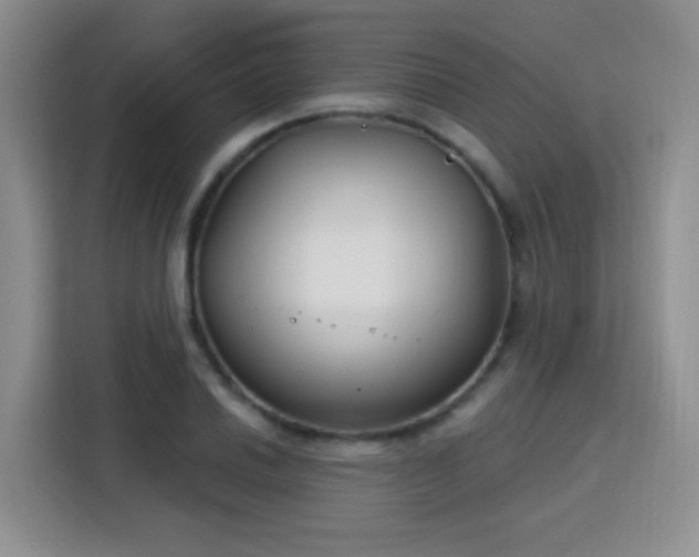 X0000115831030200911201501