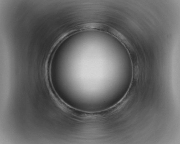 X0000115831039200911201501