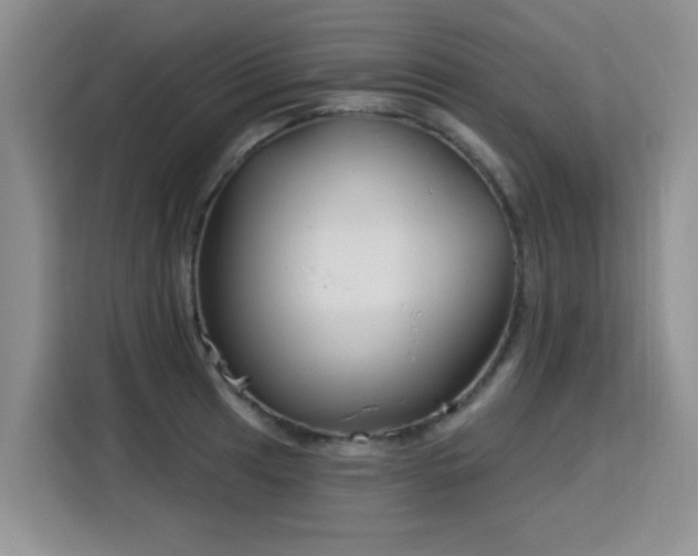 X0000115831041200911201501