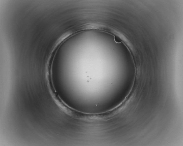 X0000115831042200911201501