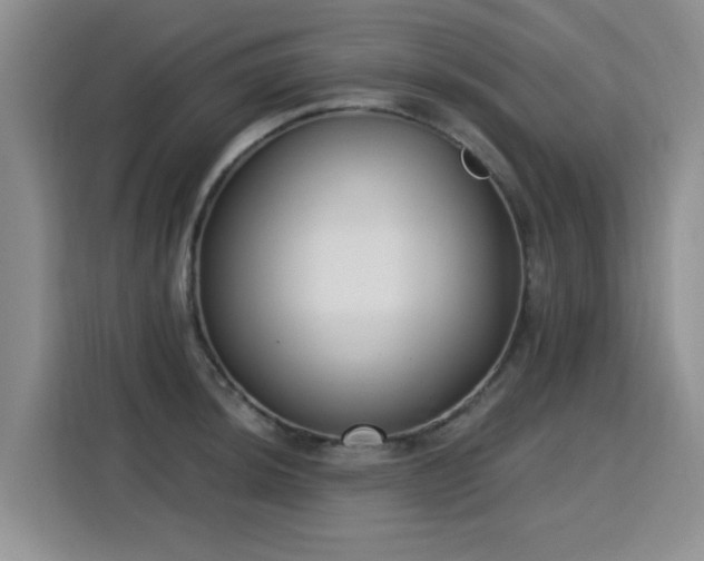 X0000115831044200911201501