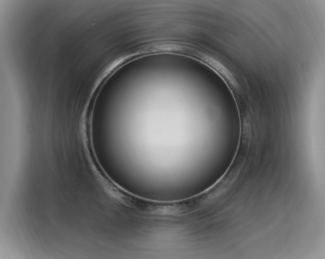 X0000115831047200911201501