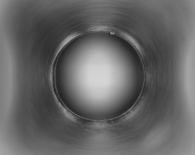 X0000115831050200911201501