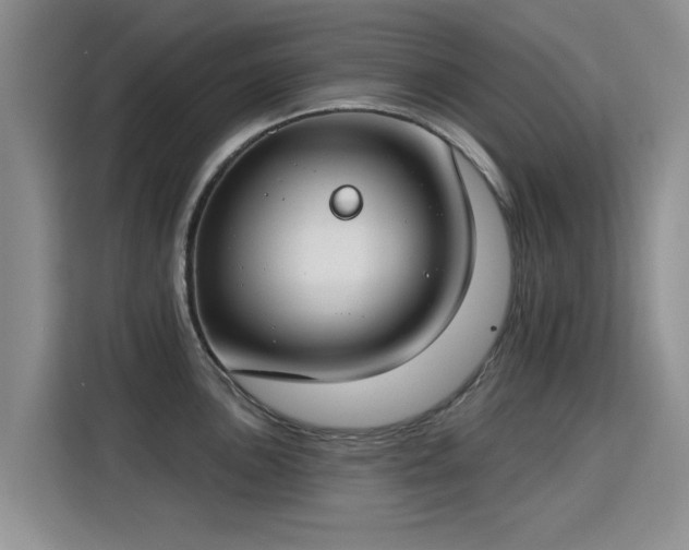 X0000115831051200911201501