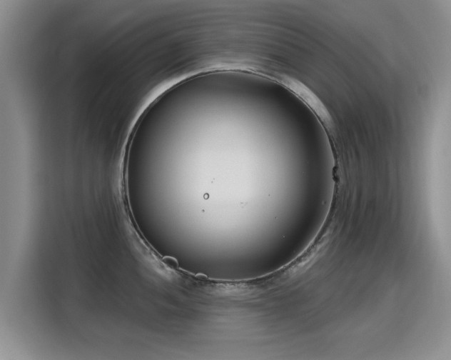 X0000115831052200911201501