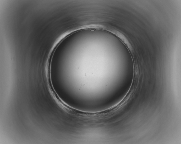 X0000115831054200911201501