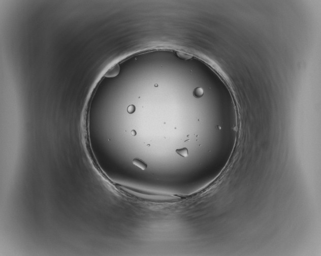 X0000115831056200911201501