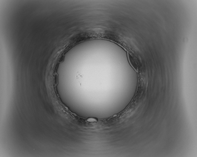 X0000115831057200911201501