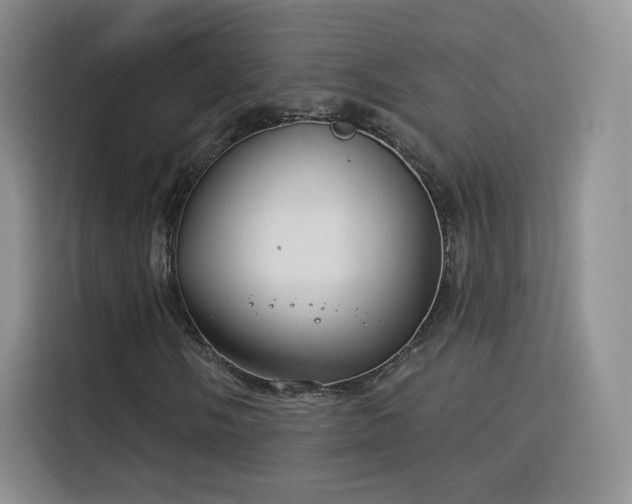 X0000115831058200911201501