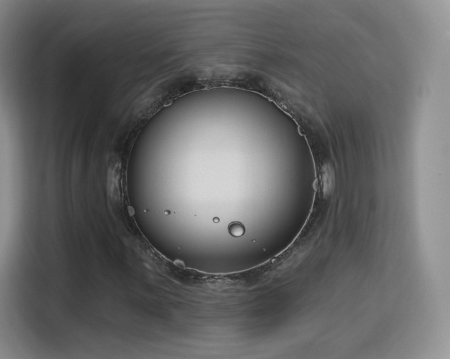 X0000115831059200911201501