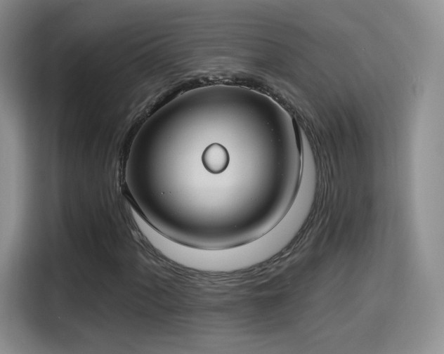 X0000115831060200911201501