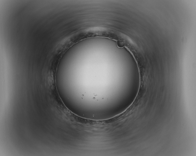 X0000115831062200911201501