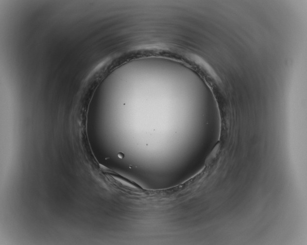 X0000115831064200911201501