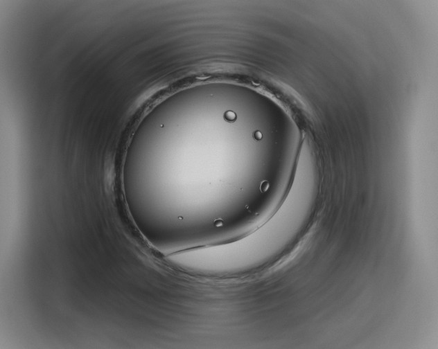 X0000115831065200911201501