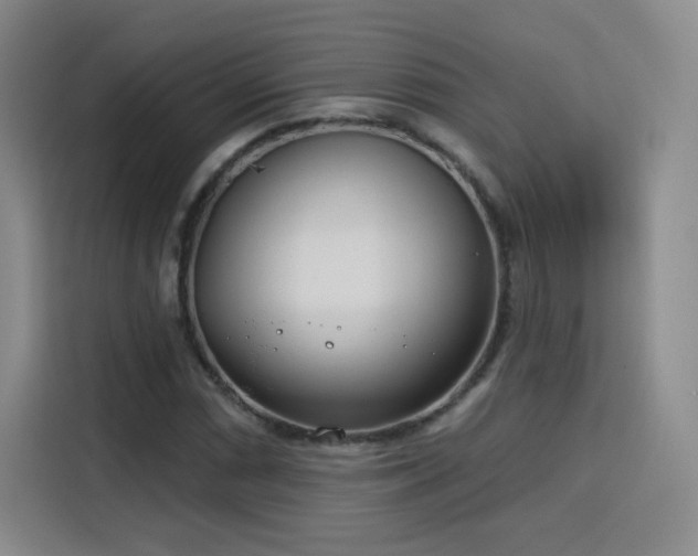 X0000115831066200911201501