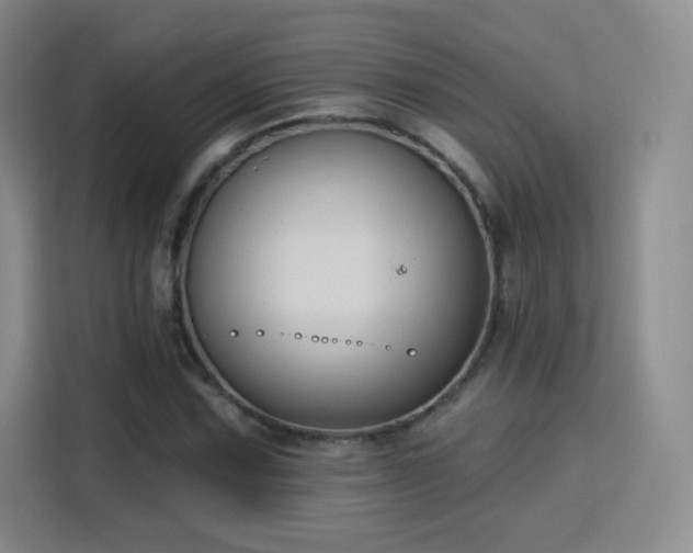 X0000115831067200911201501