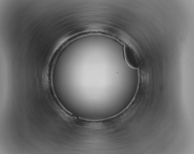 X0000115831068200911201501