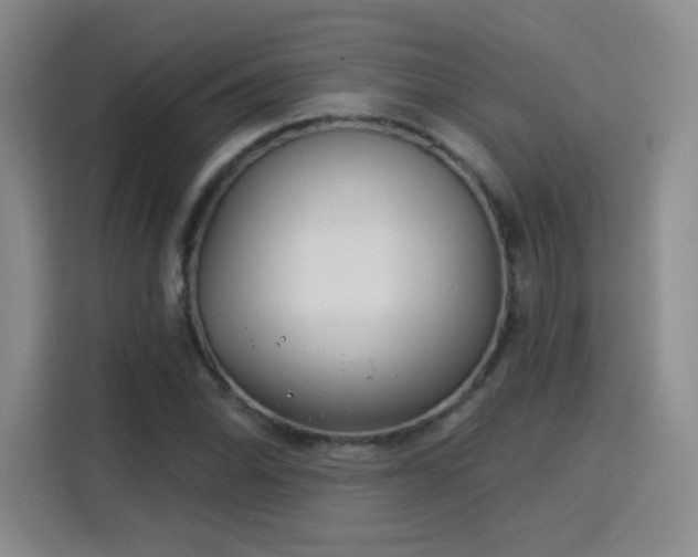 X0000115831070200911201501