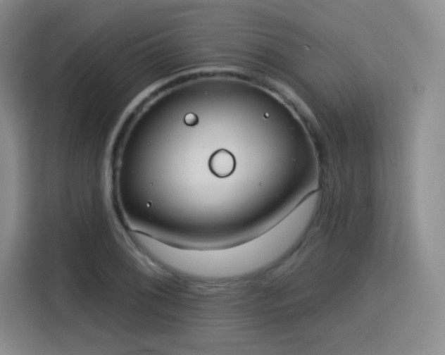 X0000115831076200911201500