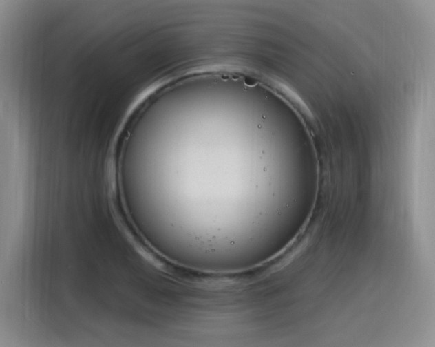 X0000115831079200911201500