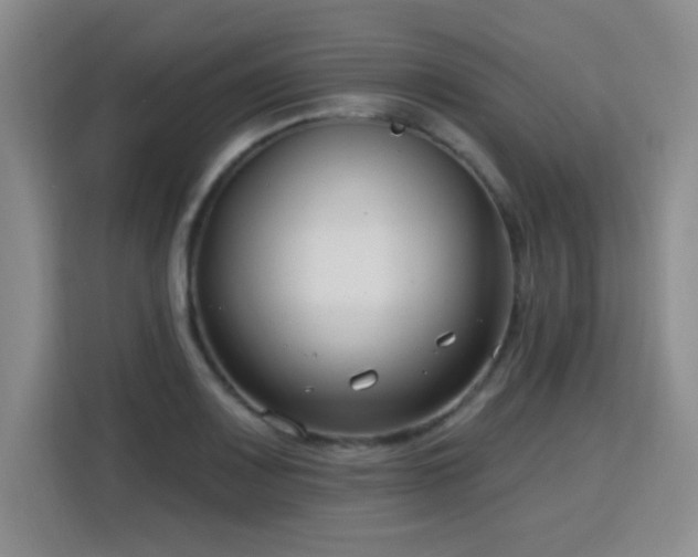 X0000115831083200911201500