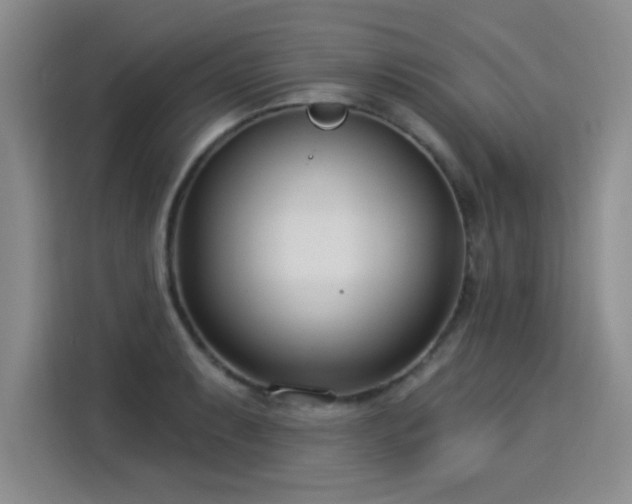 X0000115831087200911201500