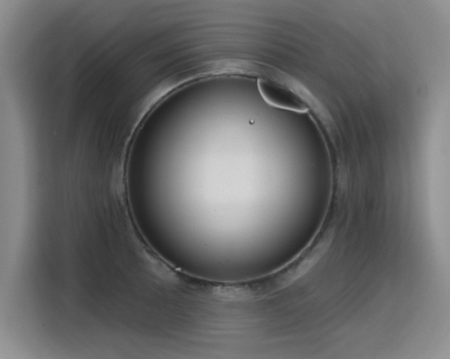 X0000115831089200911201500